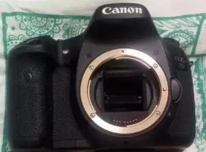 stock