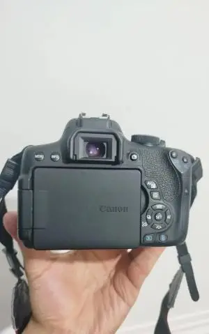 stock