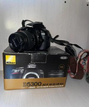 stock
