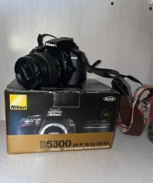 stock