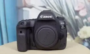 stock