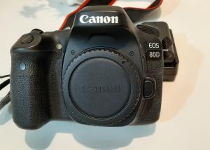 stock