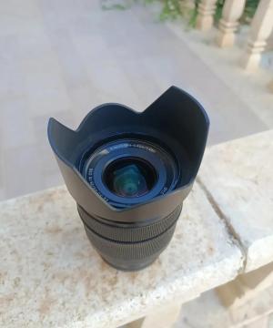 stock