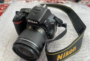 stock