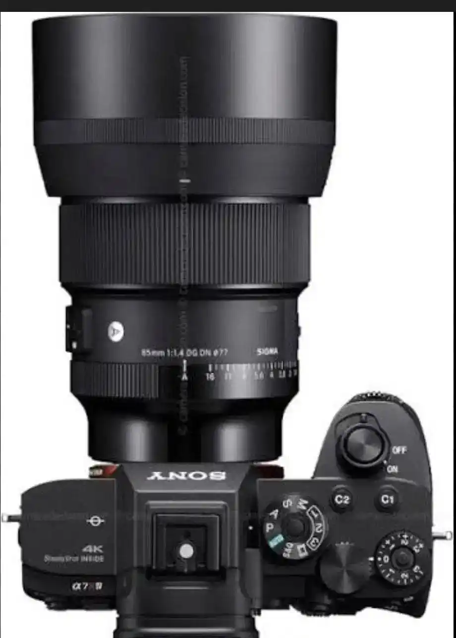 دوربین سونی Sony A7R IV دست دو