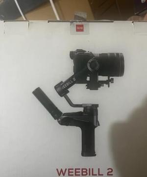 stock