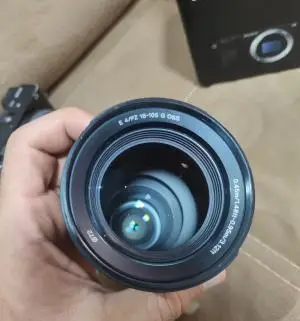 stock