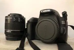stock