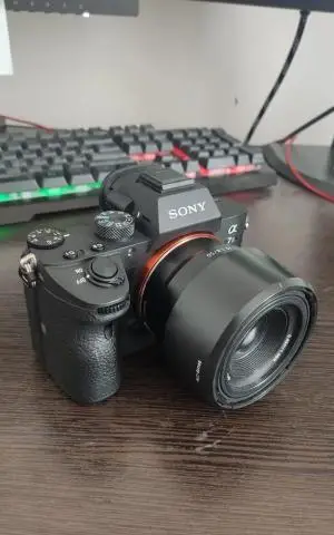 stock