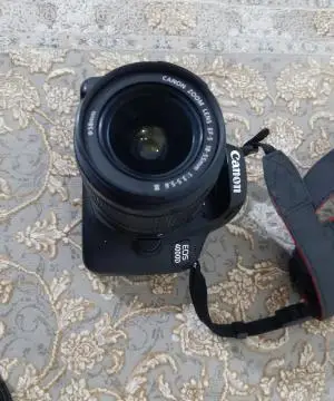 stock