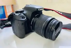 stock