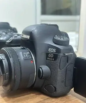 stock