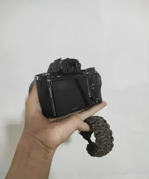 stock