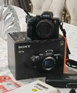 stock