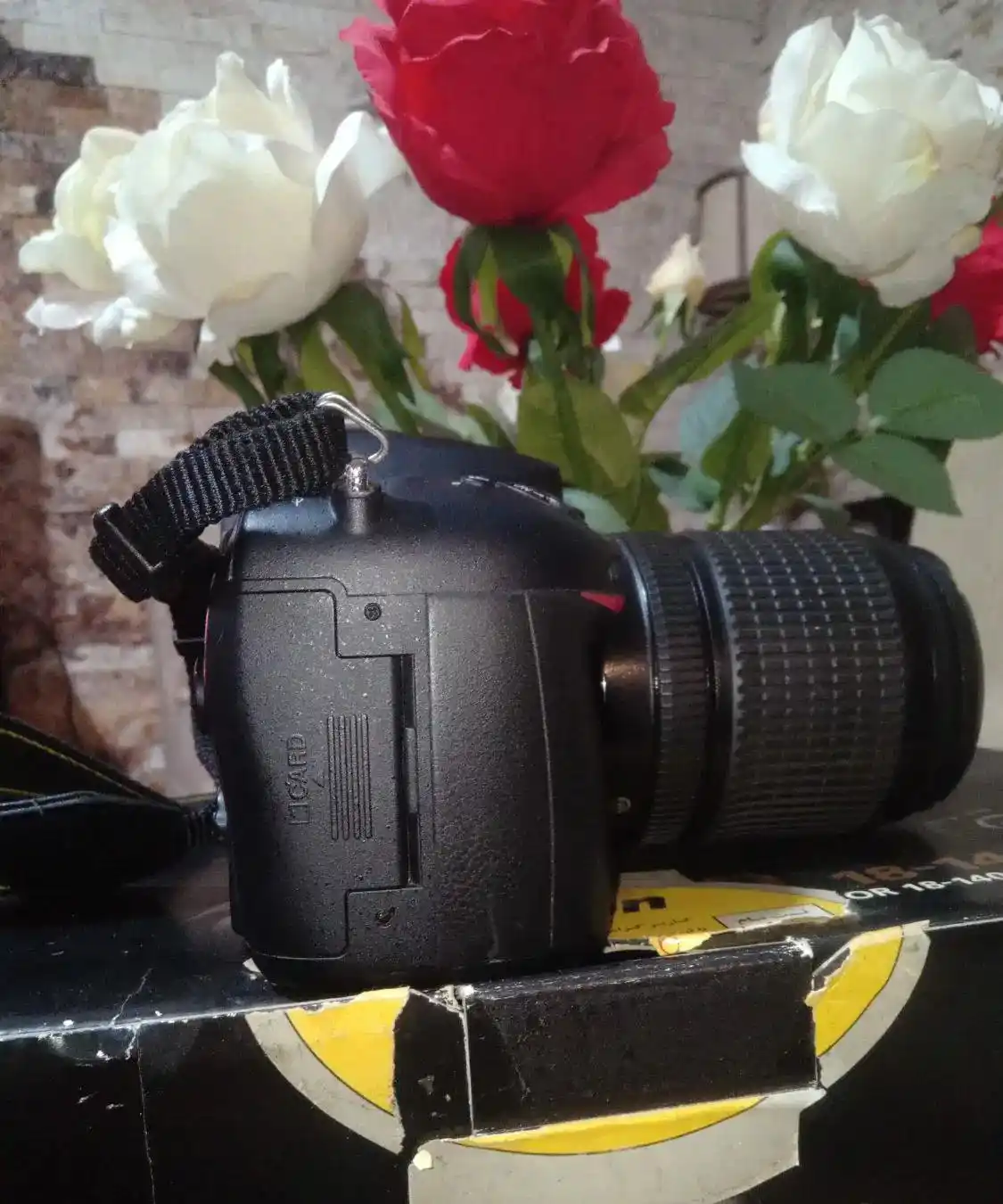 نیکون D7100 دست دو