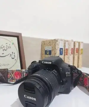 stock