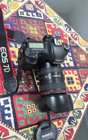 stock