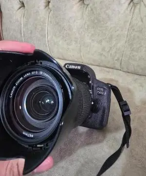 stock