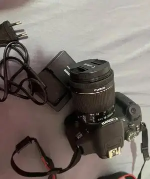 stock