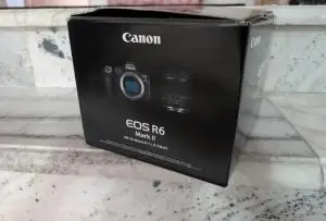 stock