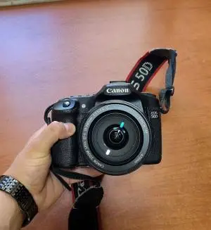 stock