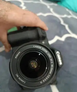 stock