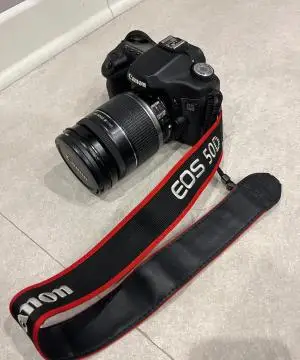 stock