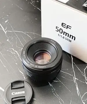 stock