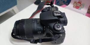 stock