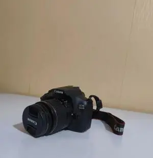 stock