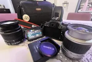 stock