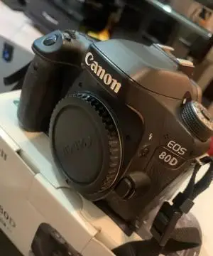 stock