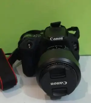 stock