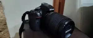 stock