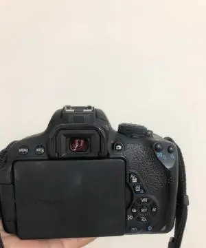 stock