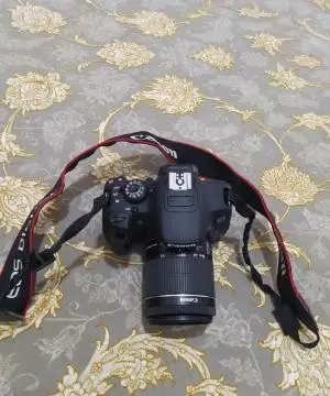 stock