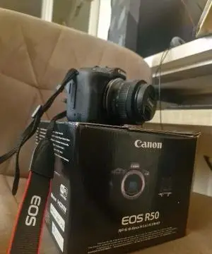 stock