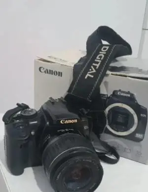 stock