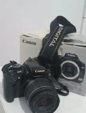 stock