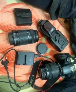 stock