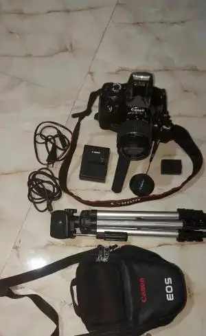 stock
