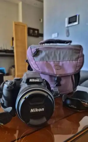 stock