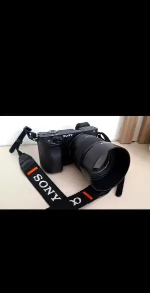 stock
