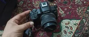 stock