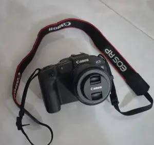 stock