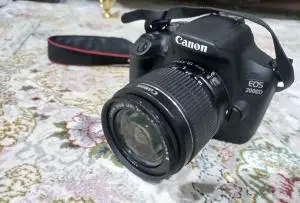stock