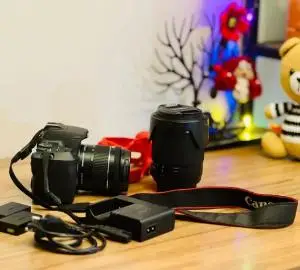 stock