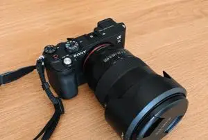 stock