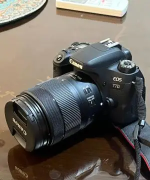 stock