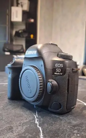 stock